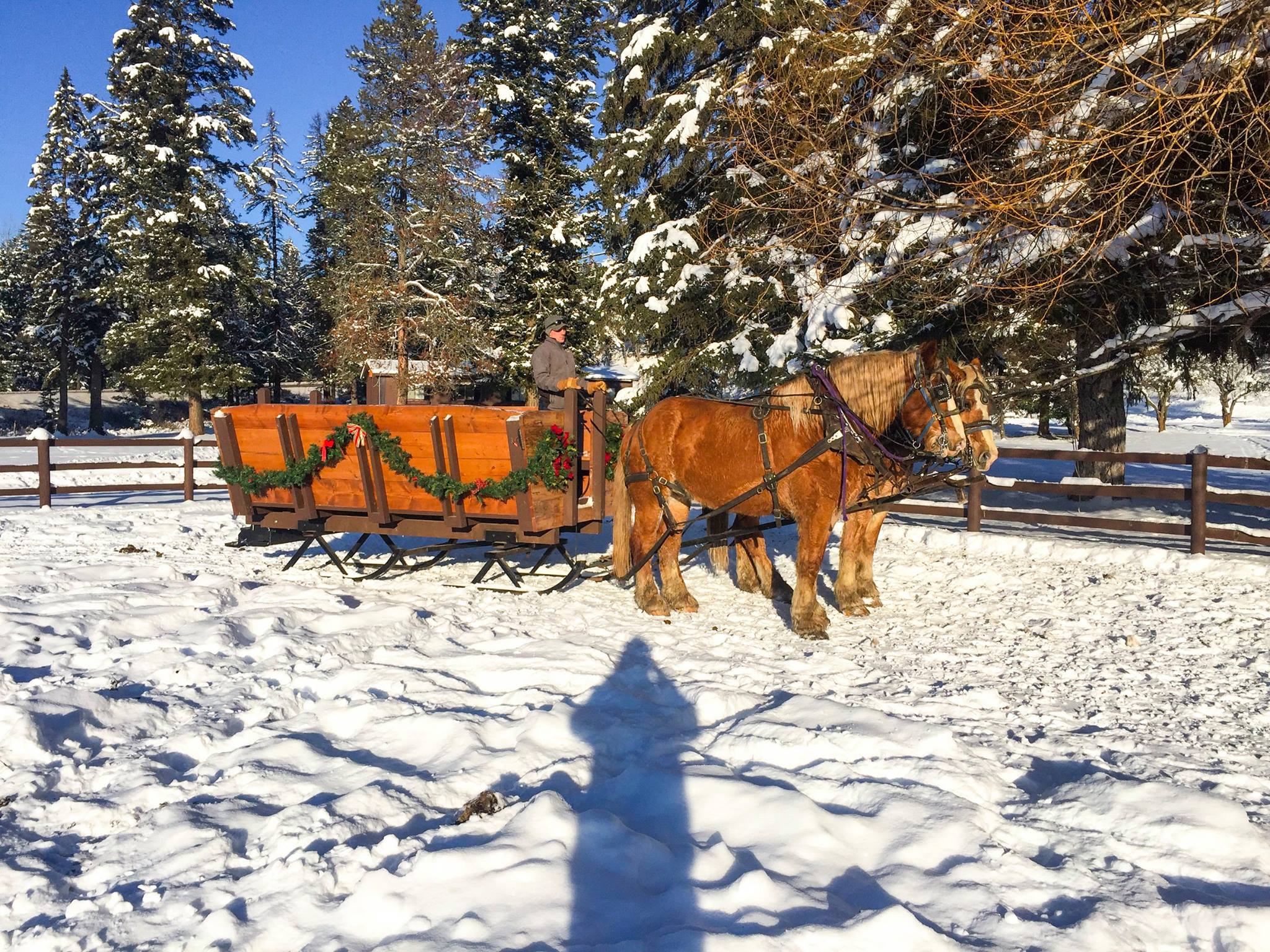 horse drawn wagon