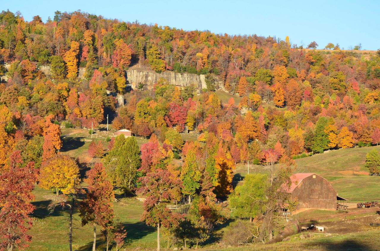 Horseshoe Barn Fall Colors