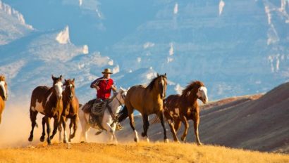 hideout horses running