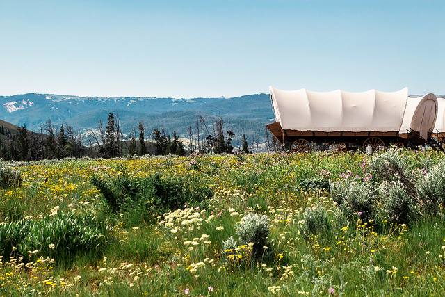 Goosewing Ranch Glamping