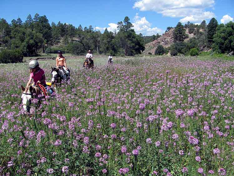 Geronimo Trail Ranch
