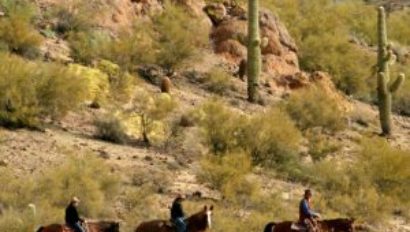 Flying E Ranch trail