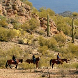 Flying E Trail Arizona Dude Ranch