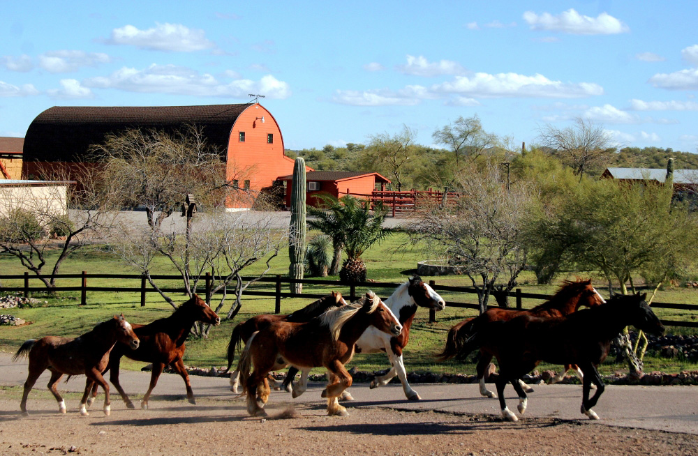 Flying E Barn Gather