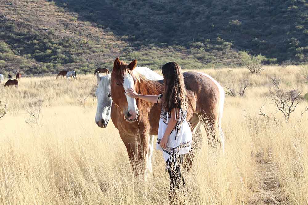 Elkhorn Ranch AZ Therapeutic Horseback Riding