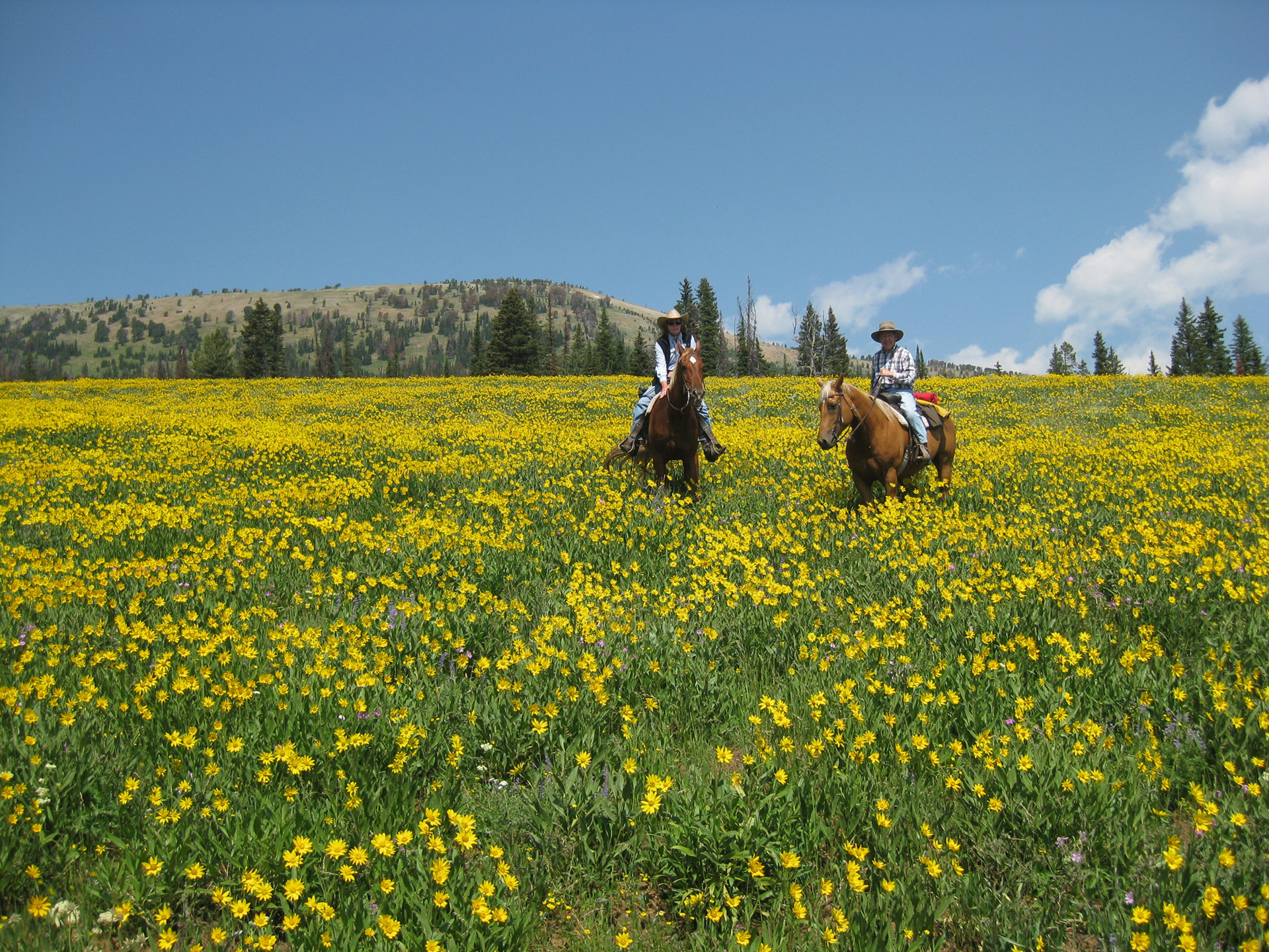 Elkhorn Ranch