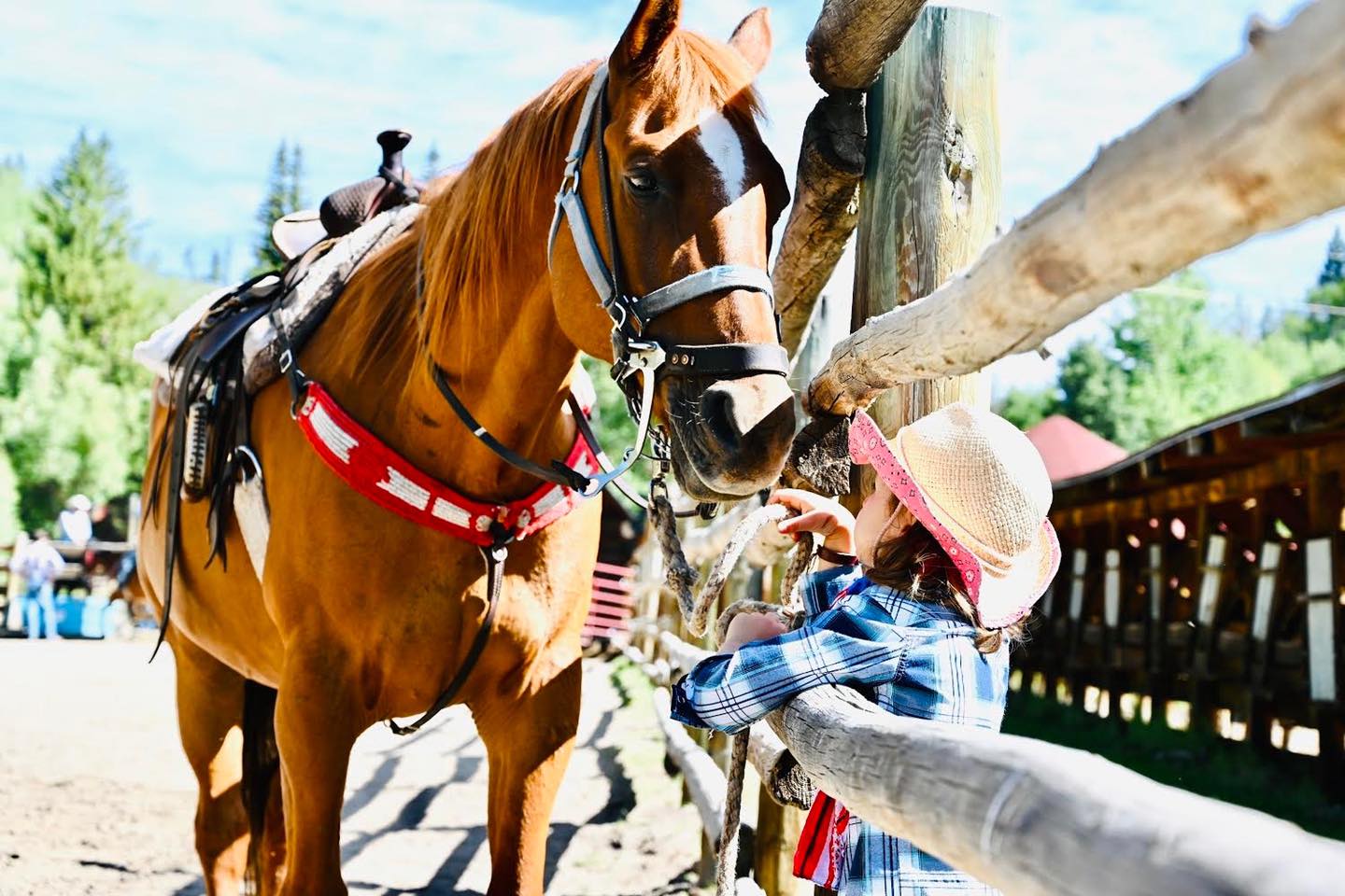 horse and child