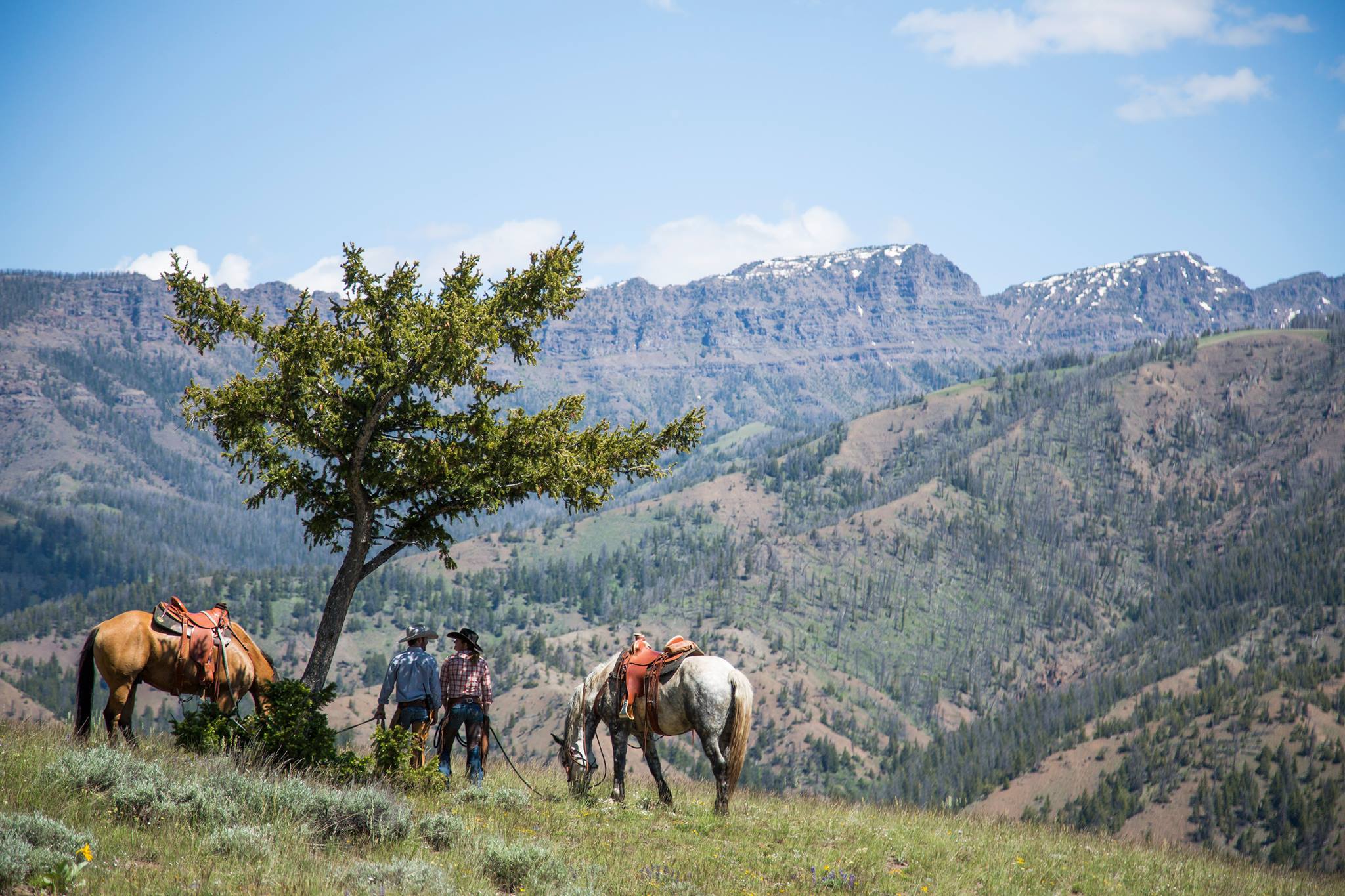 Crossed Sabers Ranch