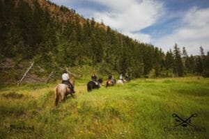 Riders on a trail next to a forest
