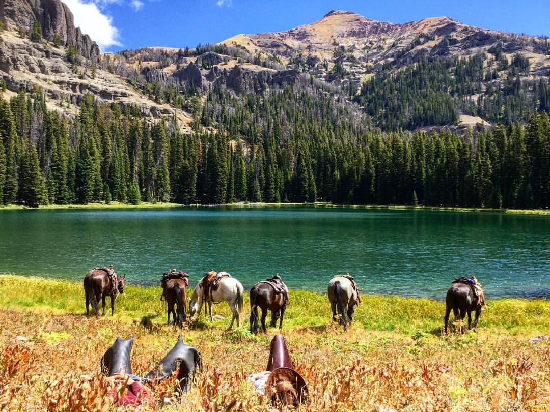 colorful landscape with water, mountains and horses