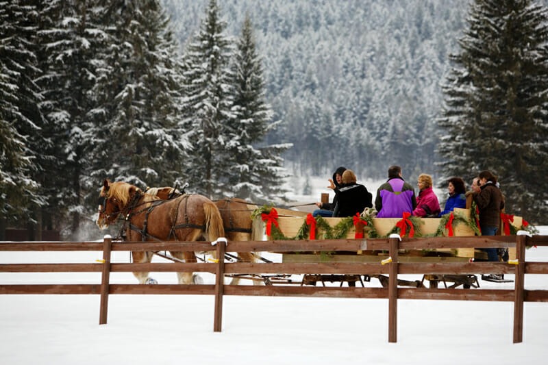 Bar W Sleigh Ride Snow 