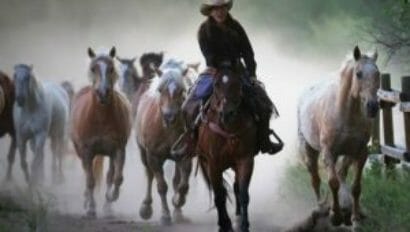 Rider leading galloping horses