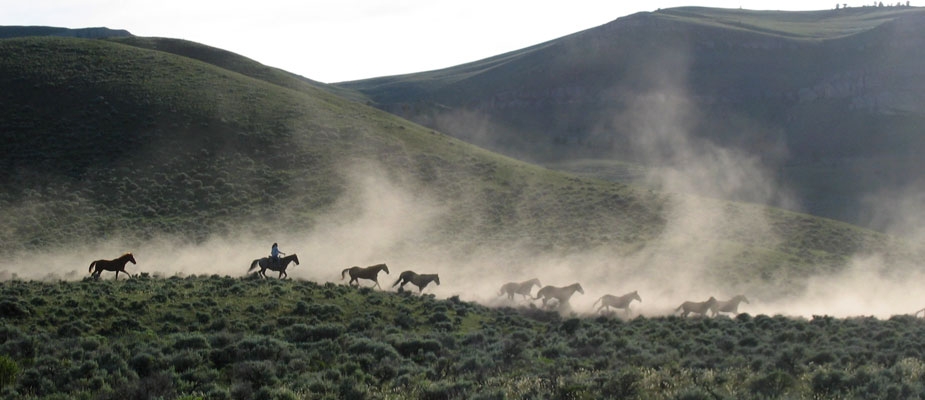 7D Ranch