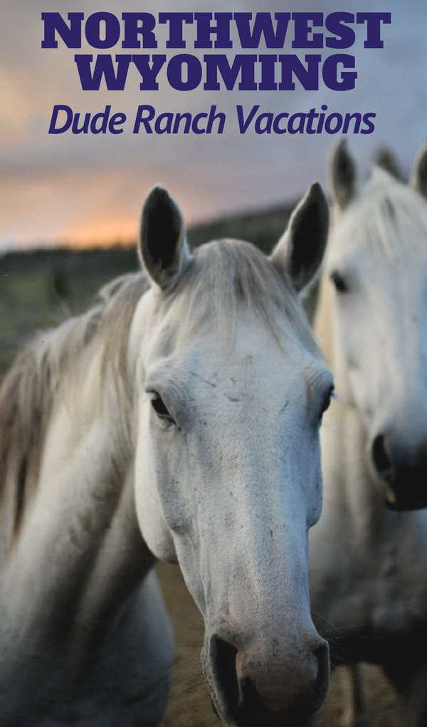 When you find yourself planning your next trip to the greater Yellowstone area or Jackson Hole in Northwest Wyoming here are some truly special hidden dude ranch vacations that are worth the trip alone. Whether you are looking for a family adventure vacation, a family reunion location, a corporate retreat getaway, or a unique wedding destination, these ranches are what you have been looking for.