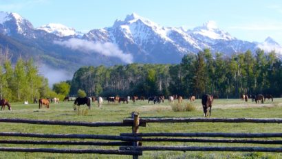 R Lazy S Ranch