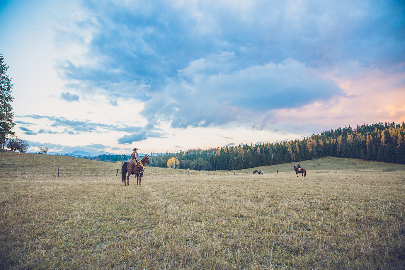 Western Pleasure Idaho Dude Ranch Vacation