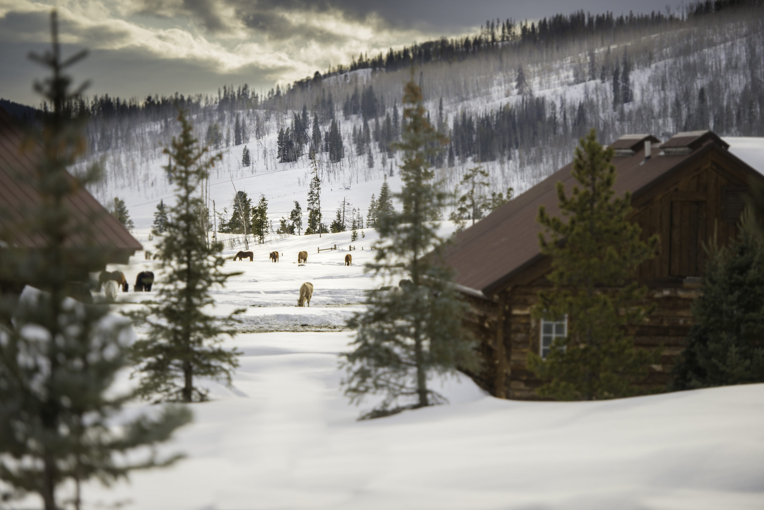 Winter Vacation winter cabin