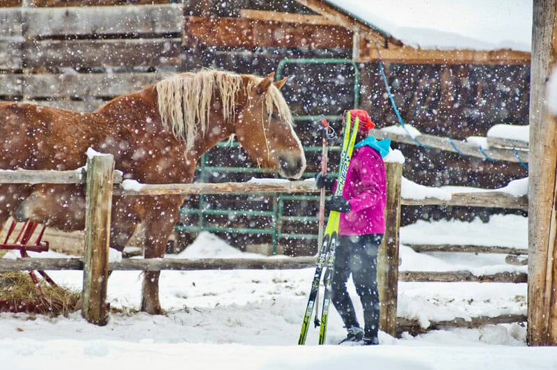 Lone-Mountain-Ski-and-Horse-Snow dude ranches