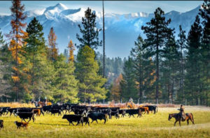 Banff National Park Dude Ranches | Canadian Rockies Stay