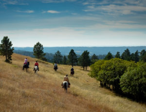 Kara Creek Trail Ride