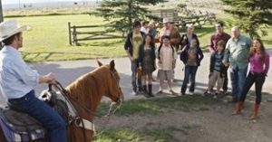 group watching man on horse