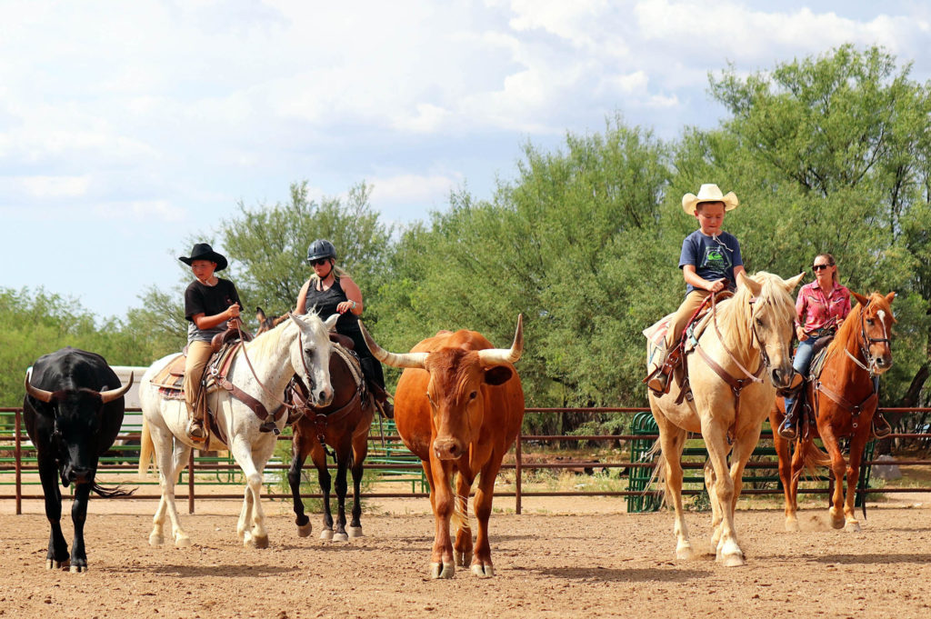 Tombstone Monument Ranch | Authentic Arizona Guest Ranch