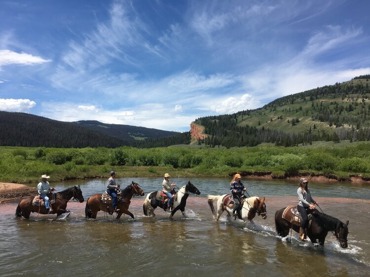 Darwin trail ride thorugh creek