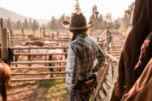 yellowstone dude ranch