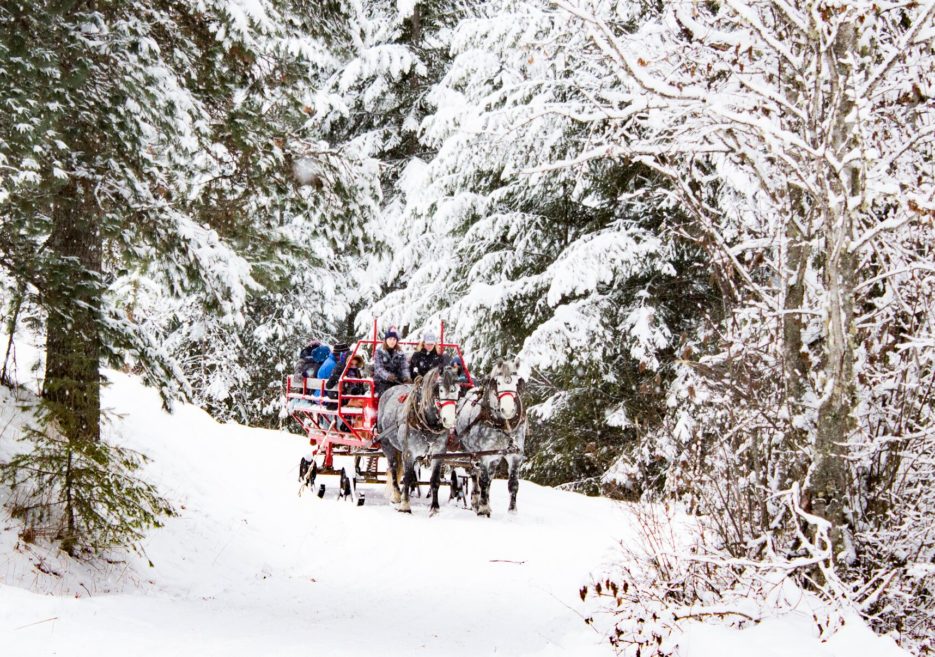 Horse-Drawn Sleigh Ride at Western Pleasure Guest Ranch 
