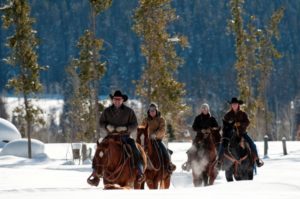 riding horses through snow