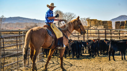 man on horseback