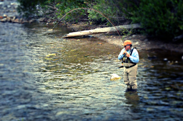 Idaho has pristine waters to fish!
