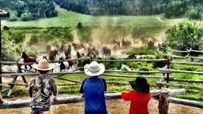 Paradise Guest Ranch