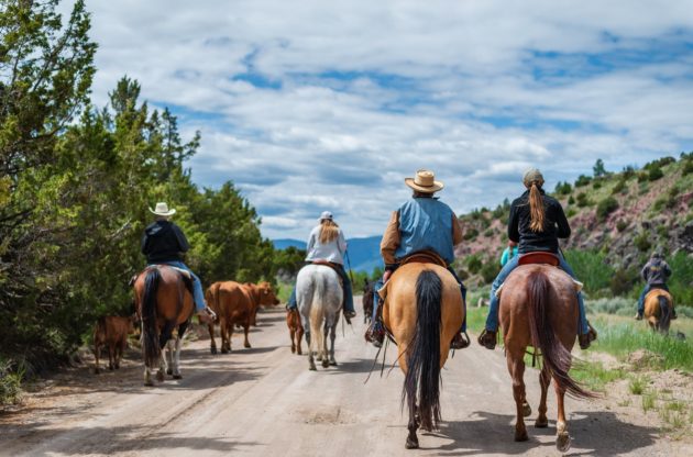 group of people on horseback