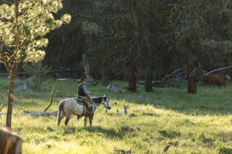 Sullivan Ranch Oregon The Retreat at Silvies Valley Ranch | Luxury Oregon Stay
